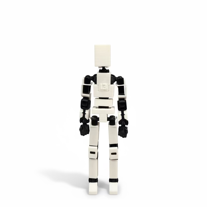Dummy 13